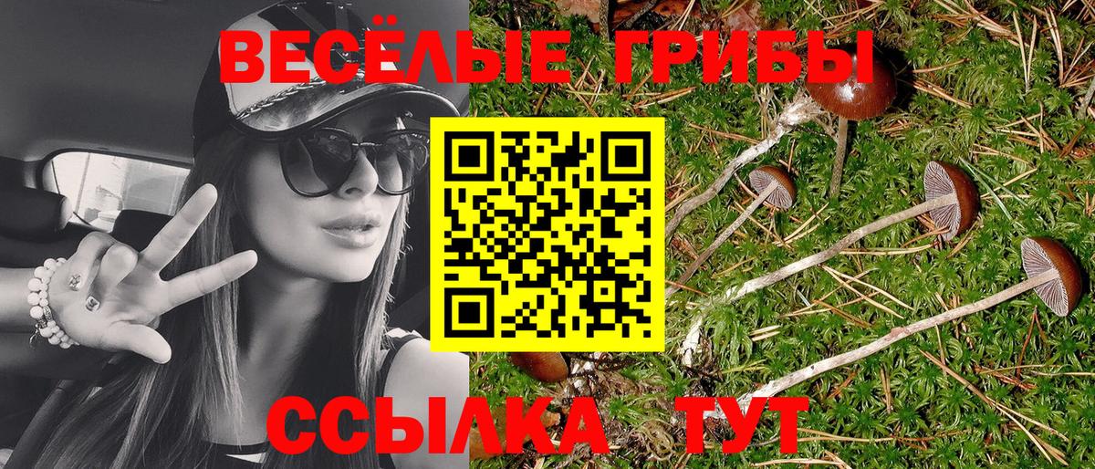 Псилоцибиновые грибы мухоморы  Вход с VPN  Галлюциногенные грибы Magic Shrooms  Новоуральск 